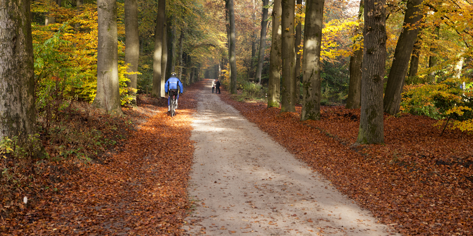 herfst op landgoed Het Roode Koper